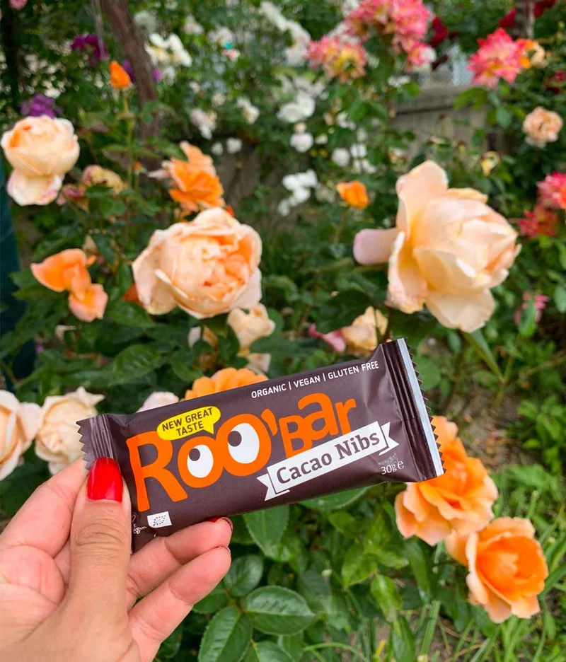Bio Bar Cacao Nibs