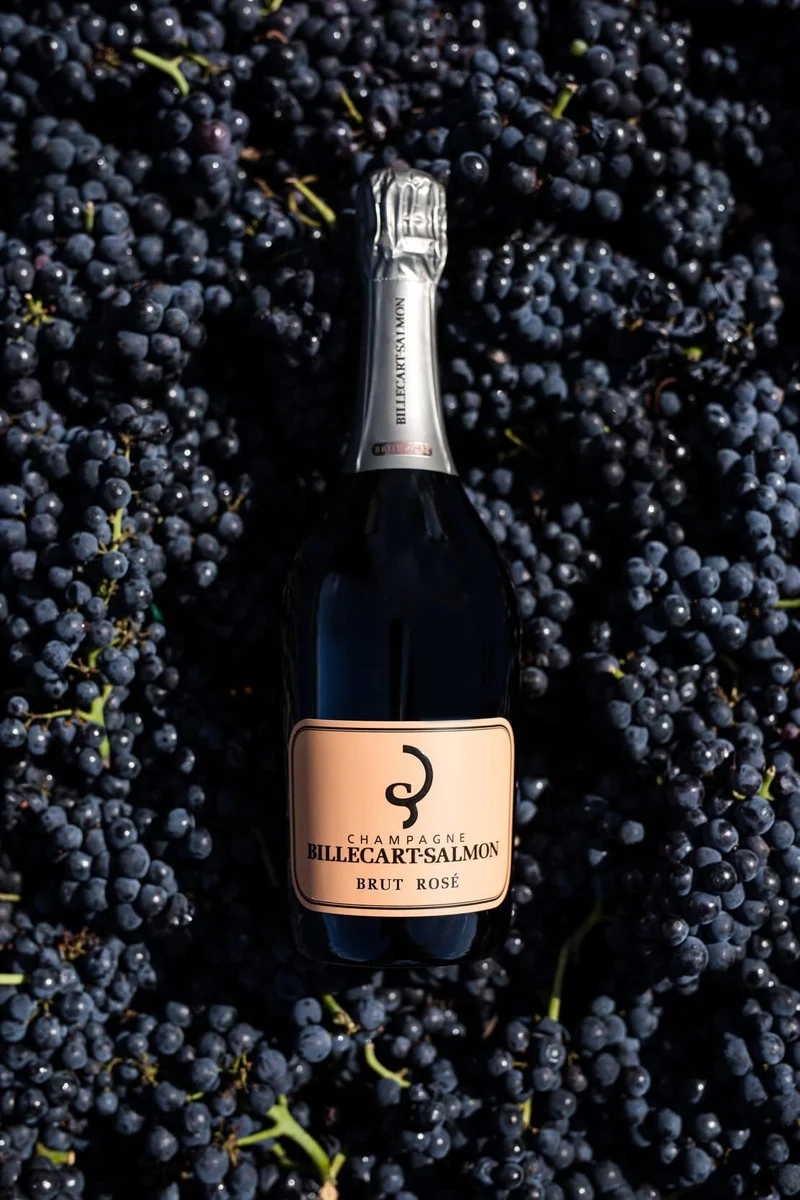 Billecart-Salmon – Le Rosé – Einer der elegantesten Rosé-Champagner der Welt