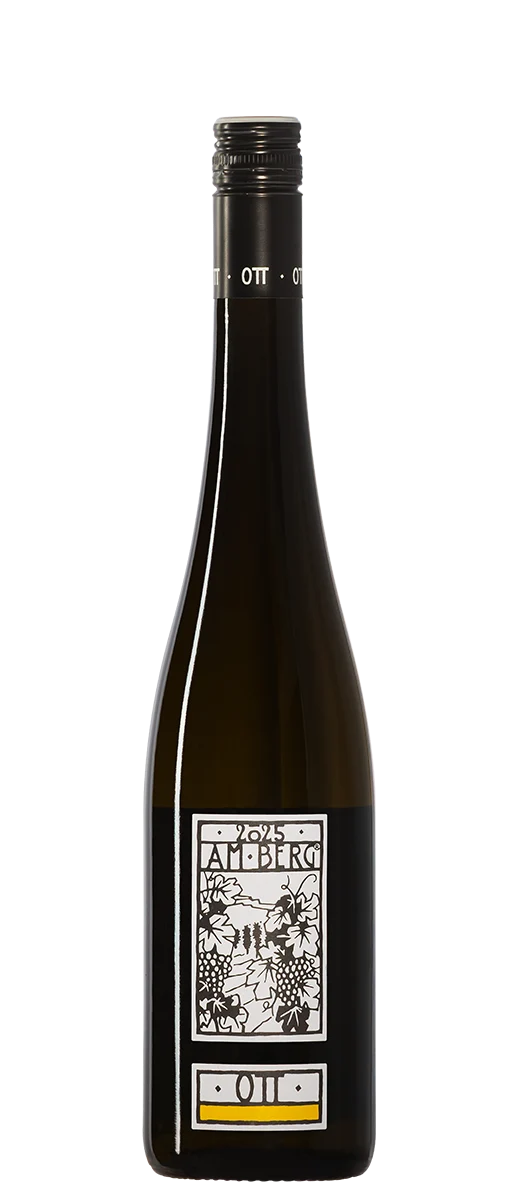 Bernhard Ott – Grüner Veltliner „Am Berg“ 2025 – Frische, Würze & pure Trinkfreude