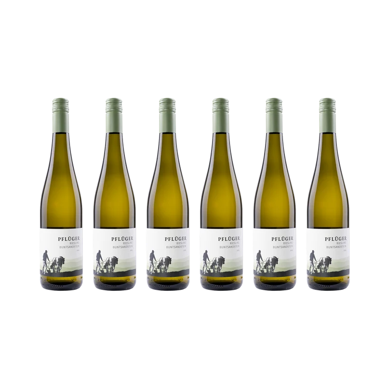 Riesling Buntsandstein – 2025