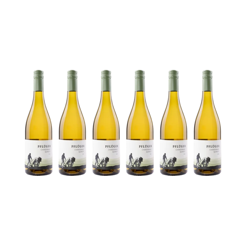 Chardonnay Quarzit – 2025