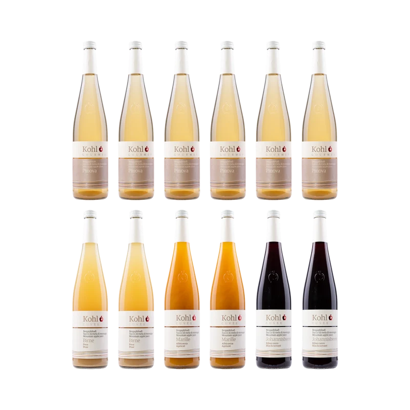 Bergapfelsaft 12er Paket