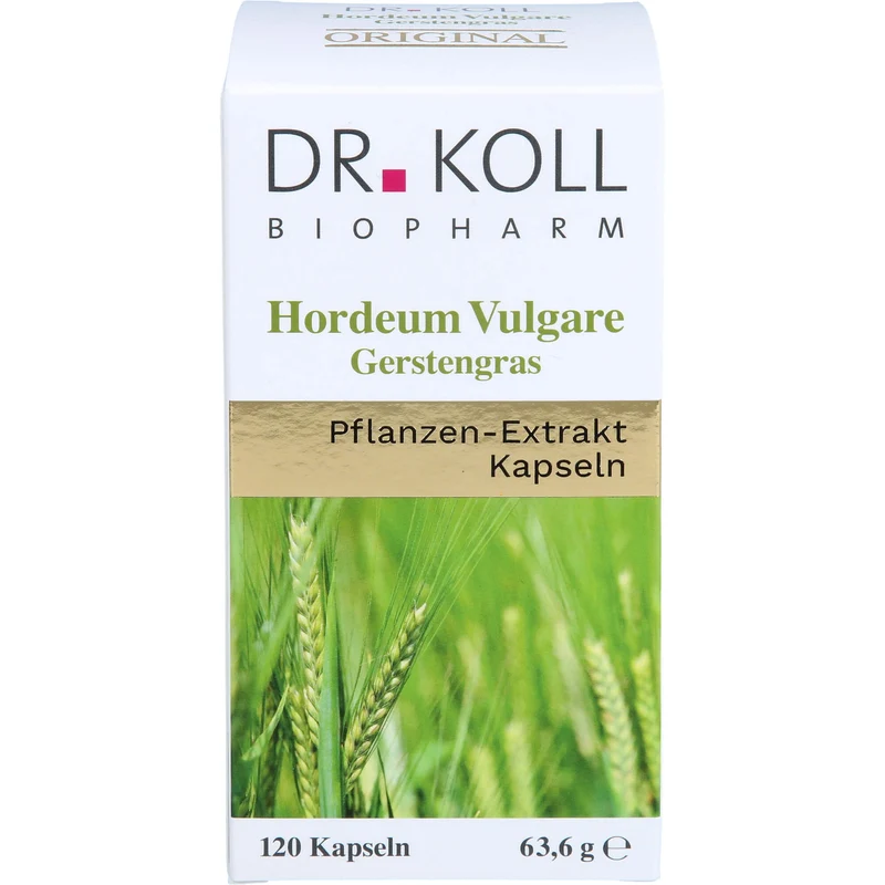 Gerstengras - Hordeum Vulgare, 120 St KAP