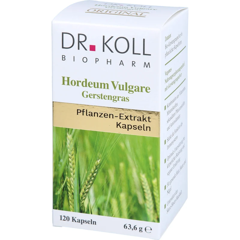 Gerstengras - Hordeum Vulgare, 120 St KAP