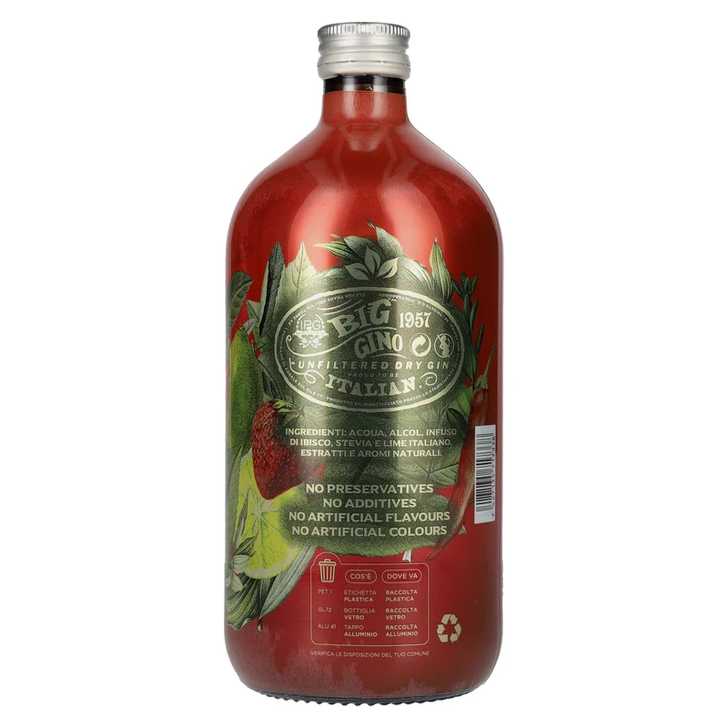 Big Gino Gin RED HOT FRUITS 38% Vol. 1l