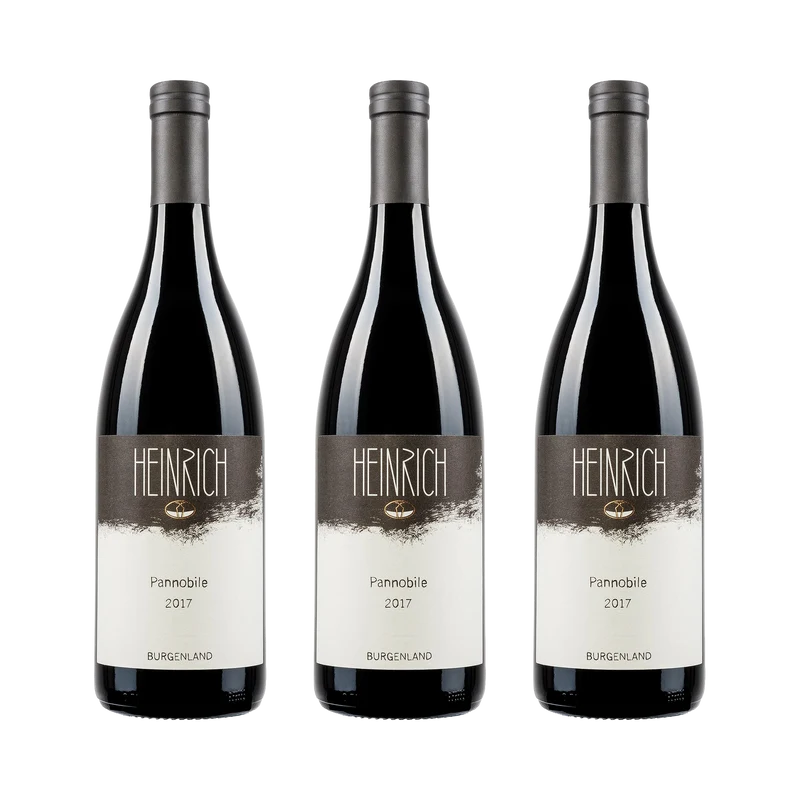 Pannobile – 2017