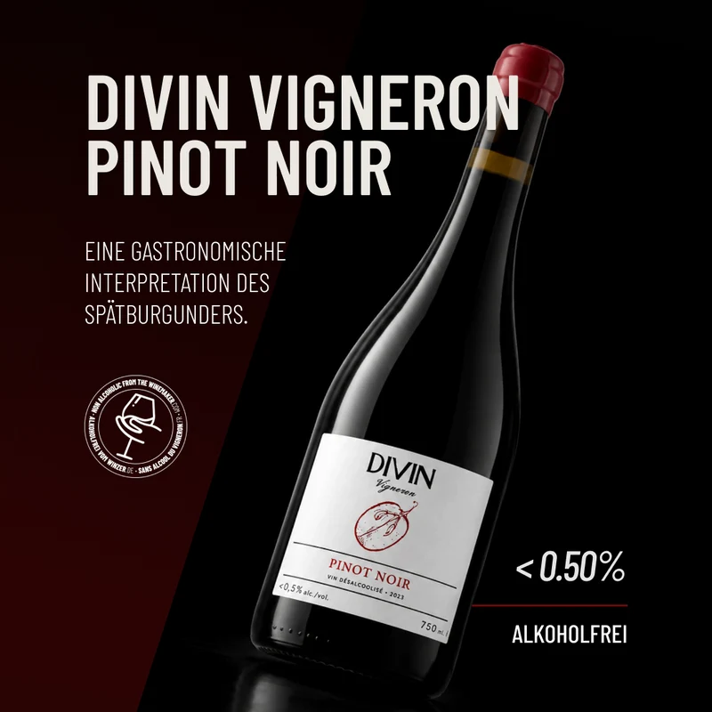 DIVIN VIGNERON PINOT NOIR