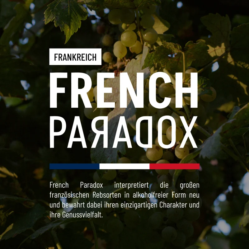 FRENCH PARADOX MALBEC: Alkoholfrei aus dem Südwesten Frankreichs. Limitierte Auflage.