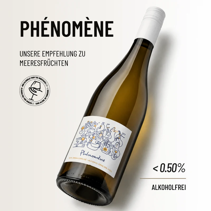 PHENOMENE: unsere Empfehlung zu Meeresfrüchten