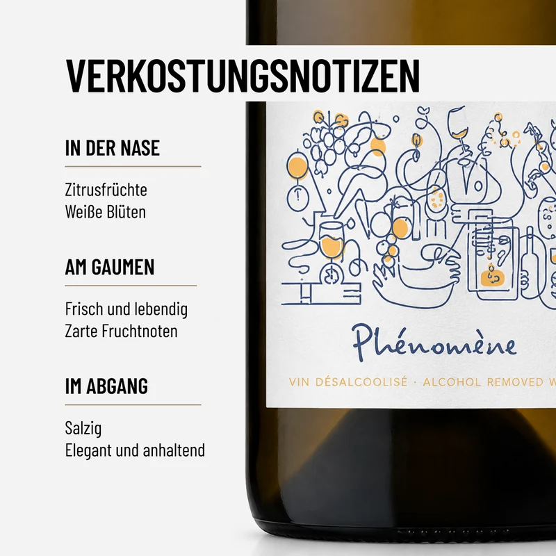 PHENOMENE: unsere Empfehlung zu Meeresfrüchten