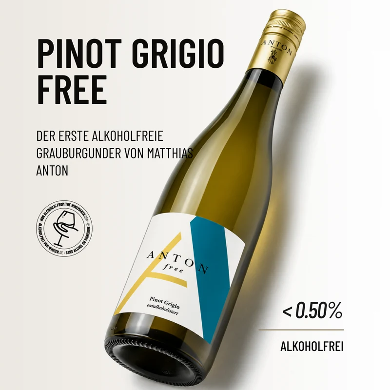 PINOT GRIGIO FREE: Der erste alkoholfreie Grauburgunder von Matthias Anton