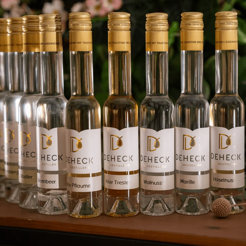 Probierpaket Destillate "hochprozentig" | 10 x 0,1 L Brände und Spirituosen Set