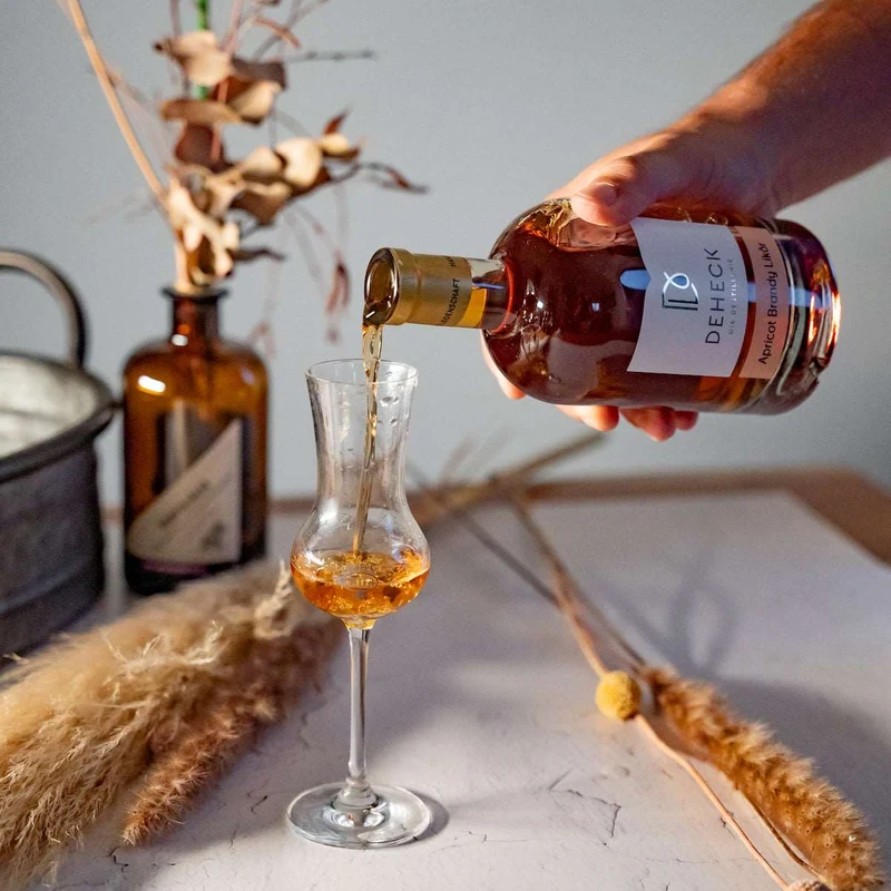 Apricot Brandy Likör | luxuriöser Aprikosen Likör | 35%