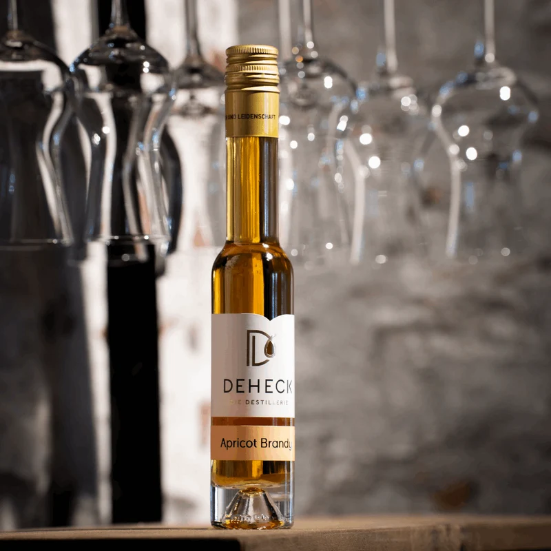 Apricot Brandy Likör | luxuriöser Aprikosen Likör | 35%