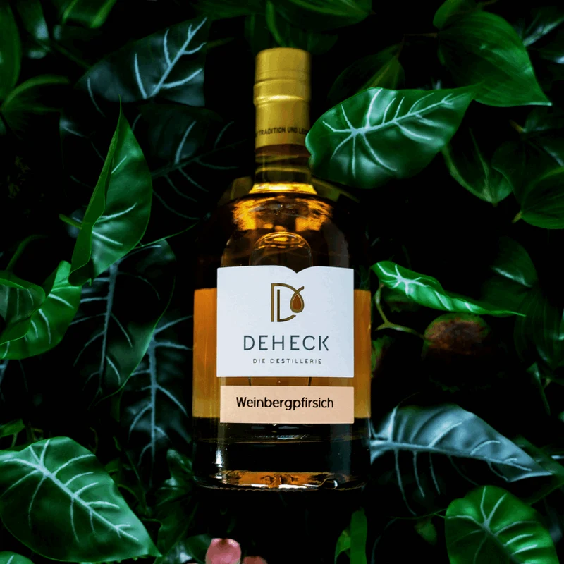 Weinbergspfirsich Likör | Pfirsich Likör mit fruchtig-citraler Note | 20%