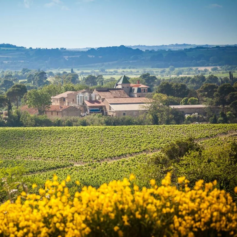 La Provenquière - Chardonnay “Les Pierres Blanches” 0 %