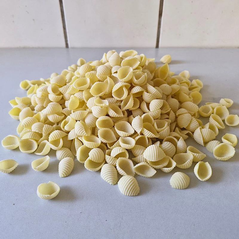 4x Hartweizen Conchiglie Nudeln 500g