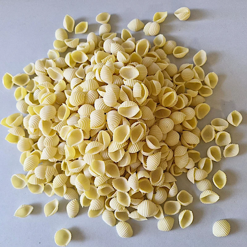 Hartweizen Conchiglie Nudeln 500g