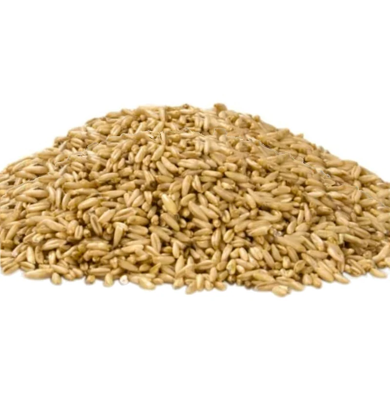 Nackthafer 25 kg