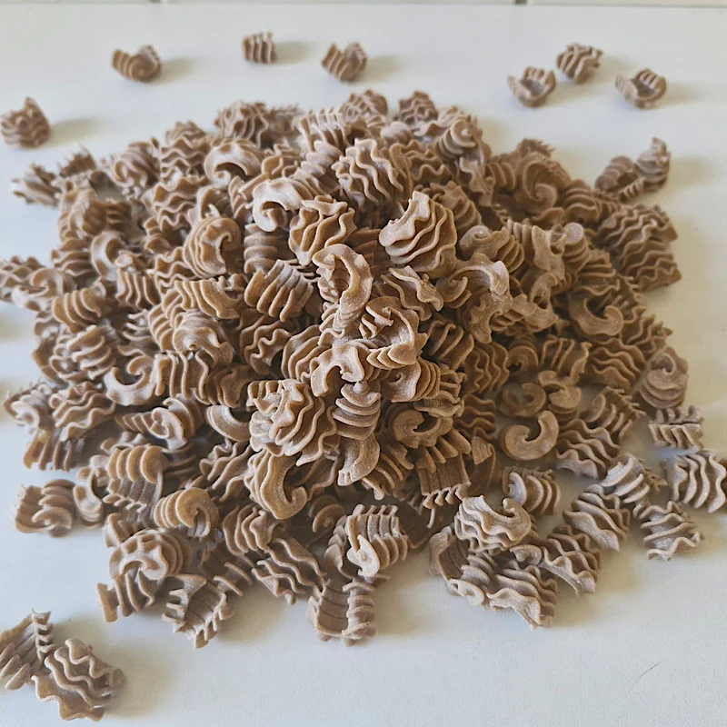 2x Buchweizen Dinkel Radiatori Nudeln 500g