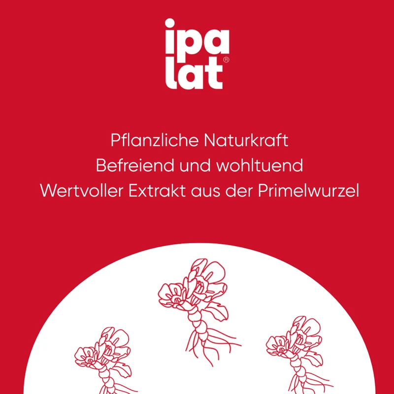 Ipalat Halspast Honig Zfr, 120 St PAS