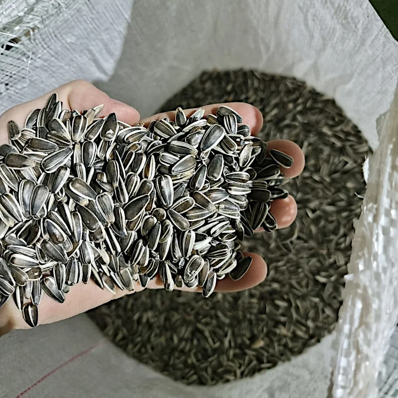 Sonnenblumenkerne gestreift, gereinigt 25kg Vogelfutter