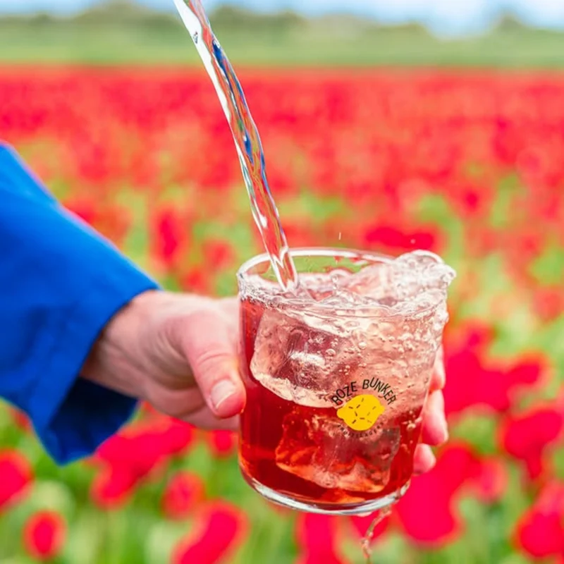 Sirop Tullip - Roze Bunker