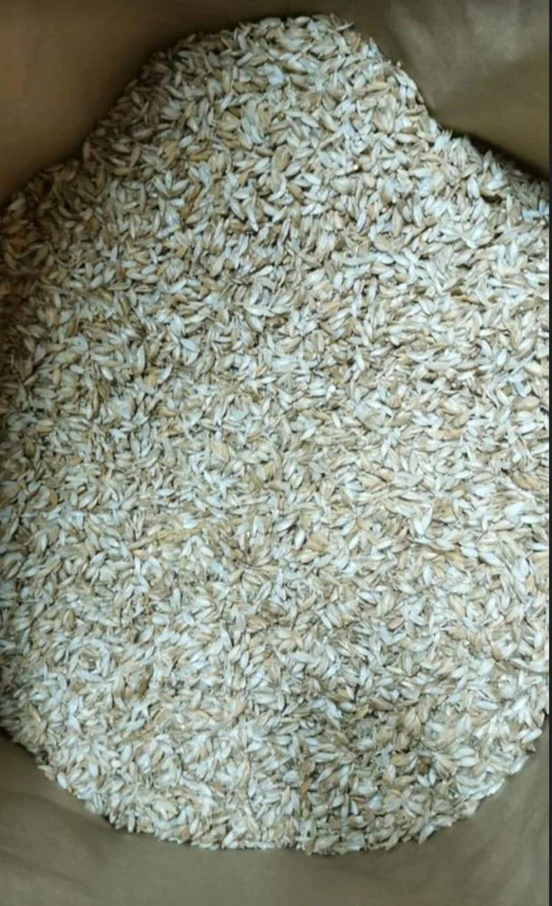 Dinkelschalen 5 kg