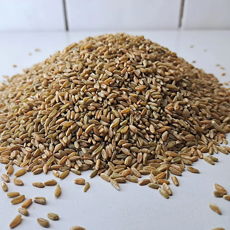 Grünkern ganzkorn