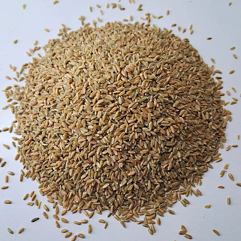 Grünkern ganzkorn