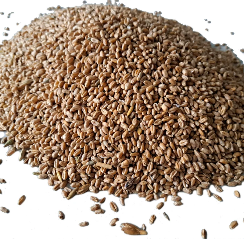 Futterweizen 25 kg (Einzelfuttermittel)