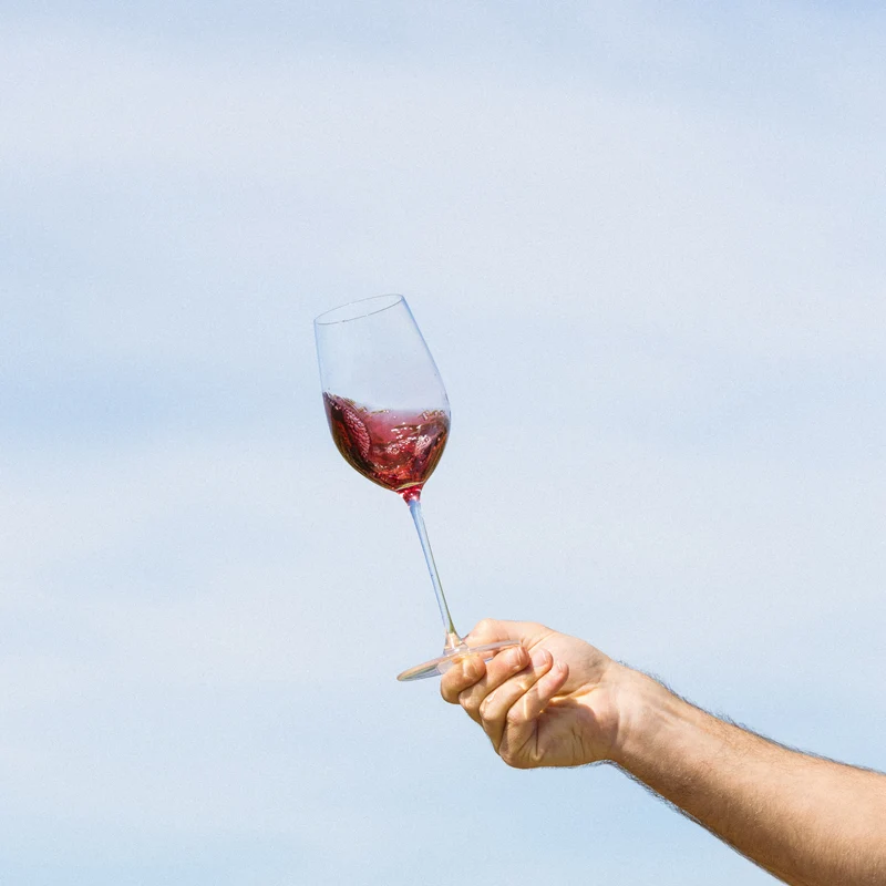 Collection Vigneron - Pinot noir - Divin