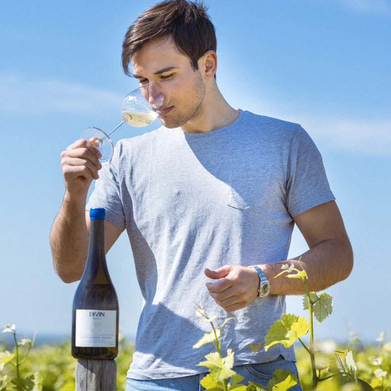 Collection Vigneron - Sauvignon blanc - Divin