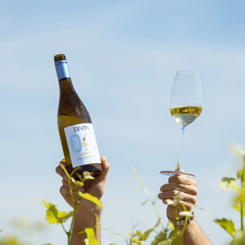 Sauvignon blanc - Divin