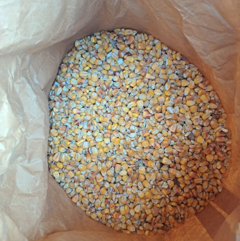 Futtermais Ganzkorn 25 kg (Einzelfuttermittel)