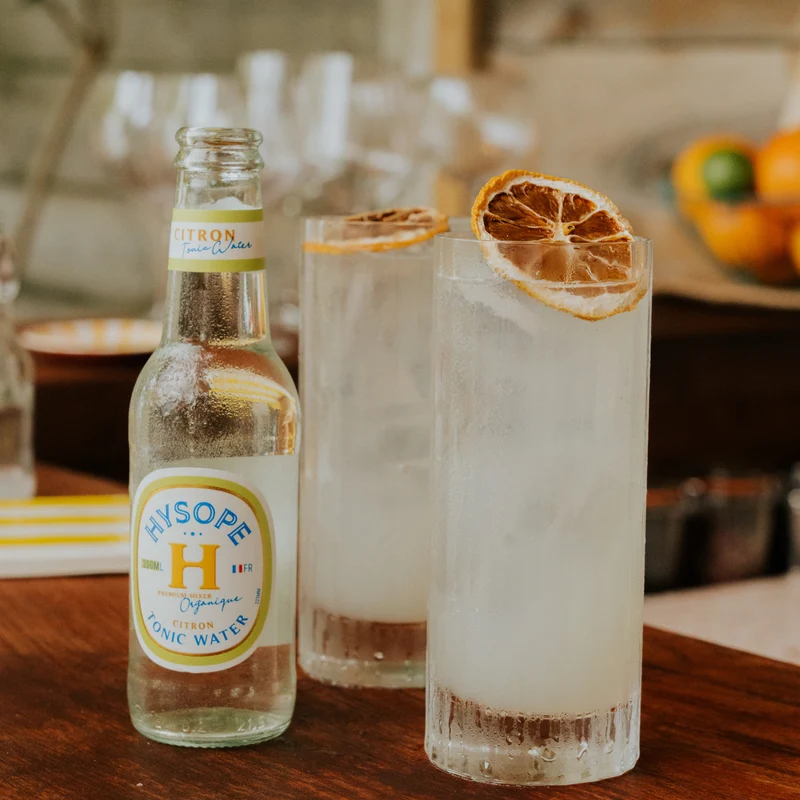 Original Indian Tonic - Hysope