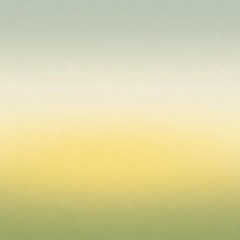 Flein - Sauvignon Blanc (2025) | Bio