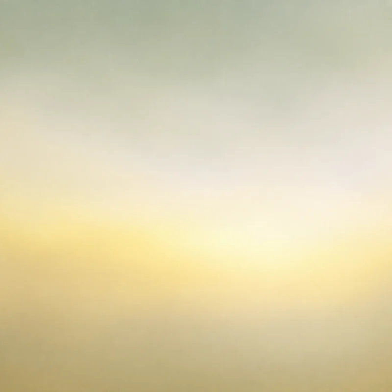 Flein - Fizz Blanc | Bio
