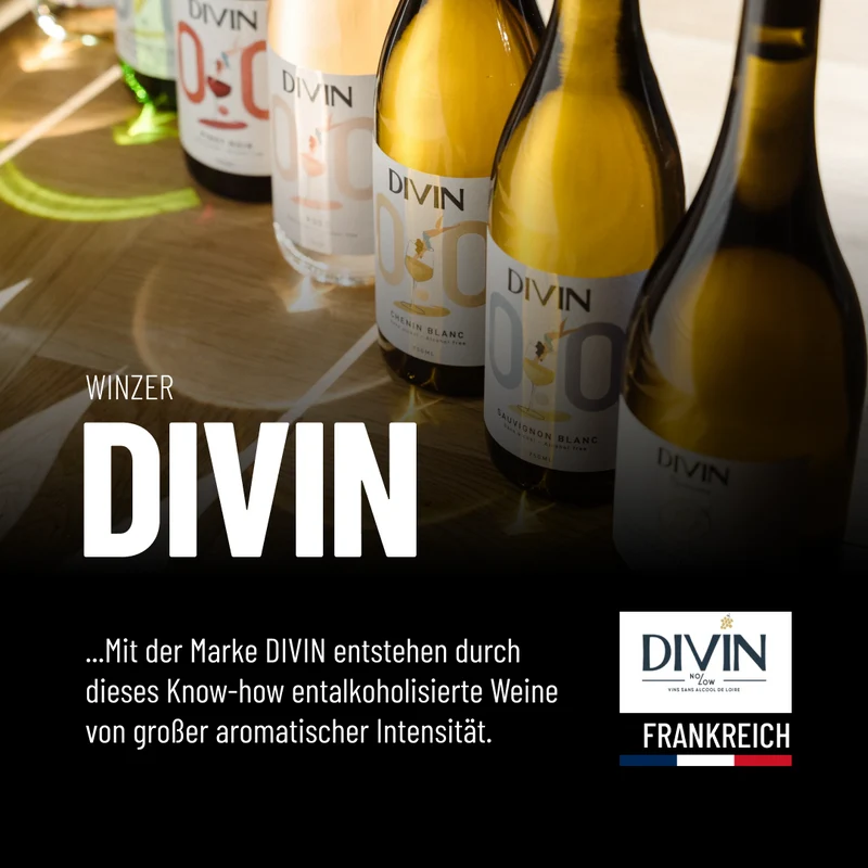 DIVIN SAUVIGNON BLANC 0,25 L