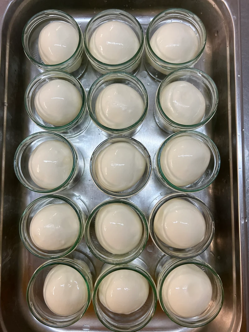 Jersey Mozzarella