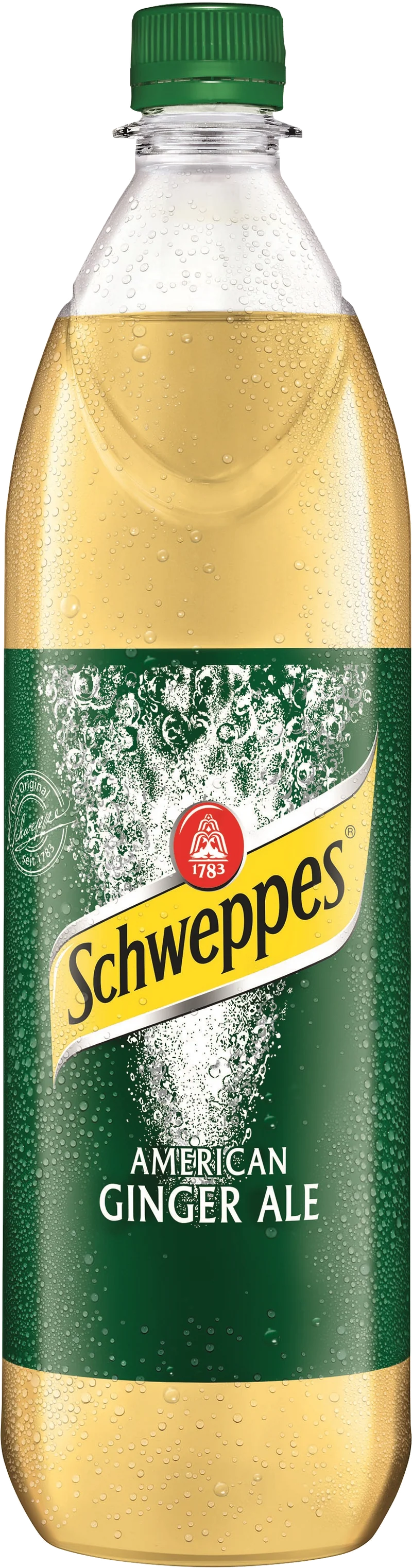Schweppes American Ginger Ale - 6 x 1,00 l