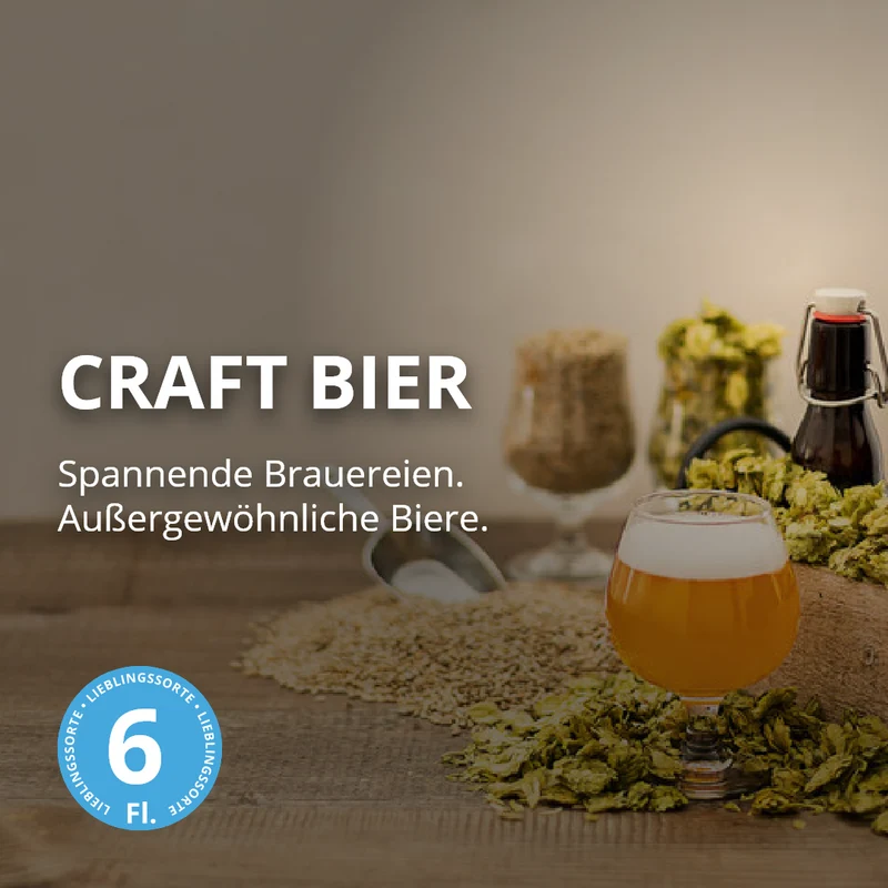 Craft Bier - 6er Bierpaket