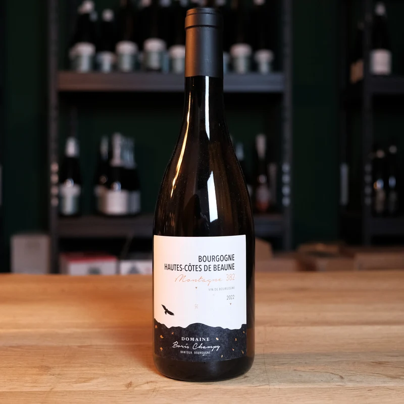 Hautes-Côtes de Beaune Blanc "Montagne 382" - 2023