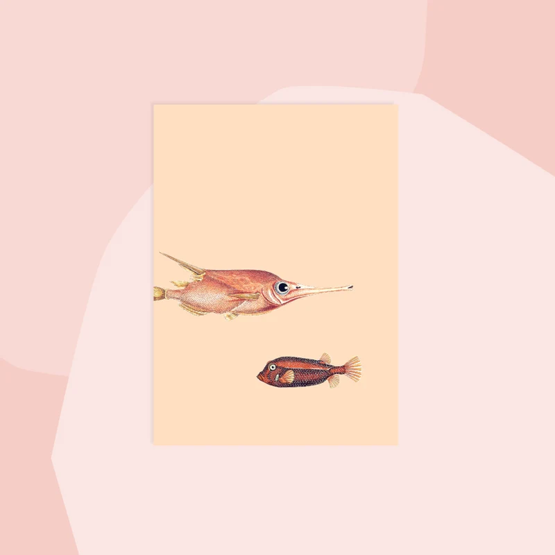 Postkarte: Zwei Fische