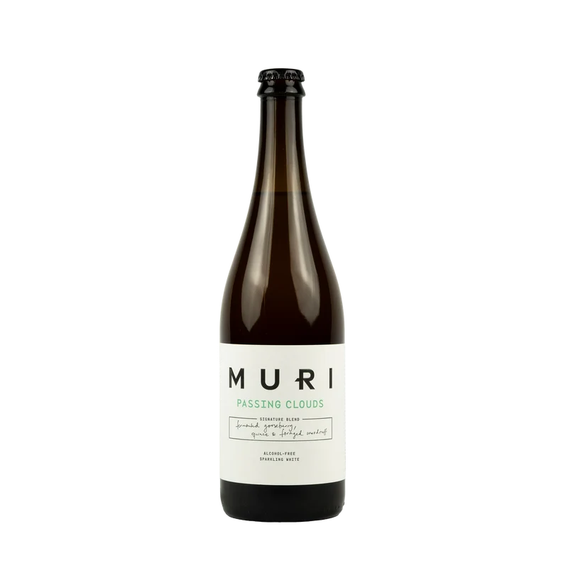 MURI - Passing Clouds