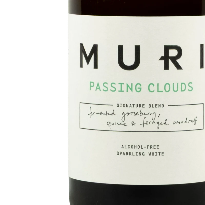 MURI - Passing Clouds