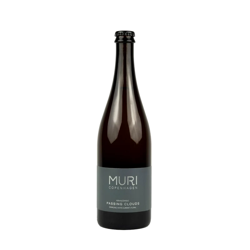MURI - Passing Clouds