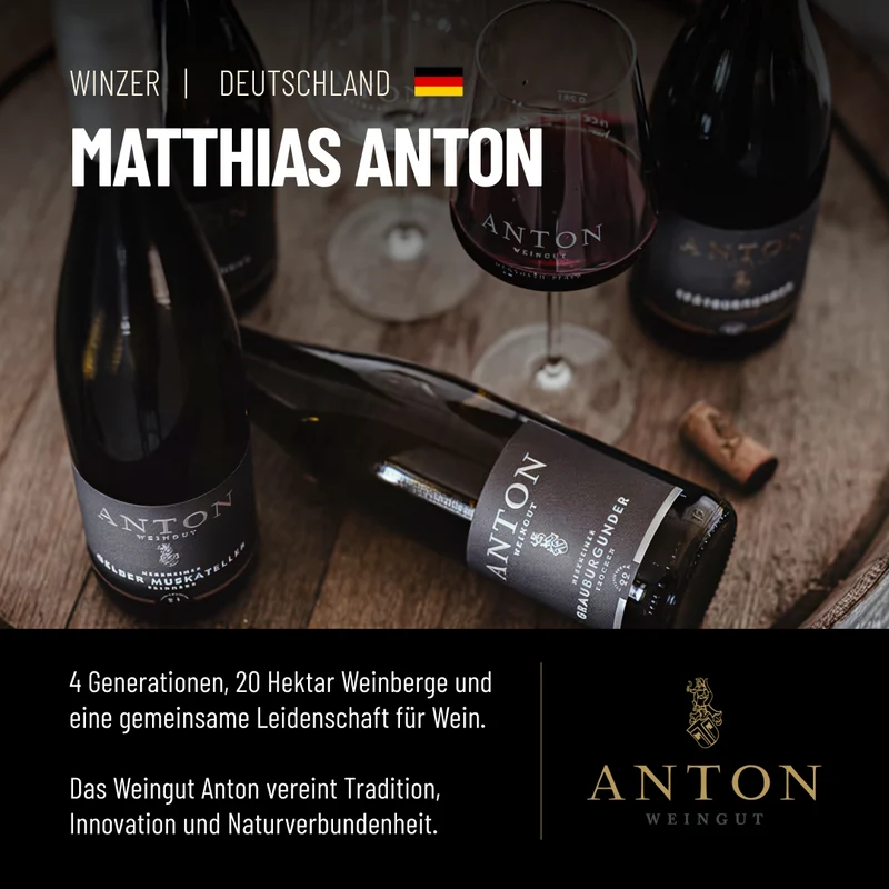 ROSÉ SPARKLING FREE: Wunderschöner prickelnder Rosé aus dem Hause Anton