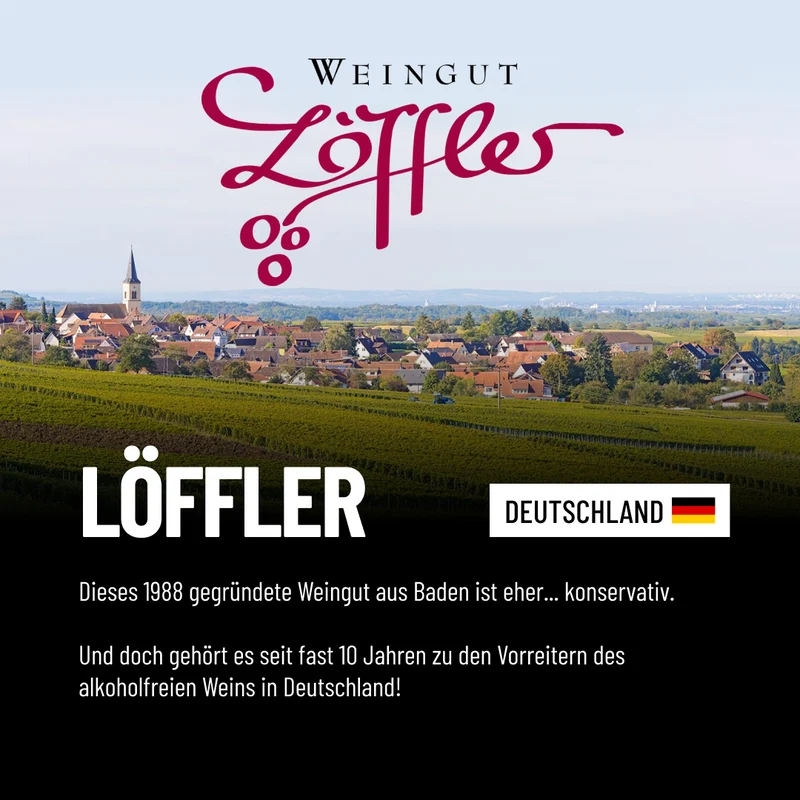 NULL ALKOHOL ROSÉ: Alkoholfreier Spätburgunder (Pinot Noir) Rosé von Löffler