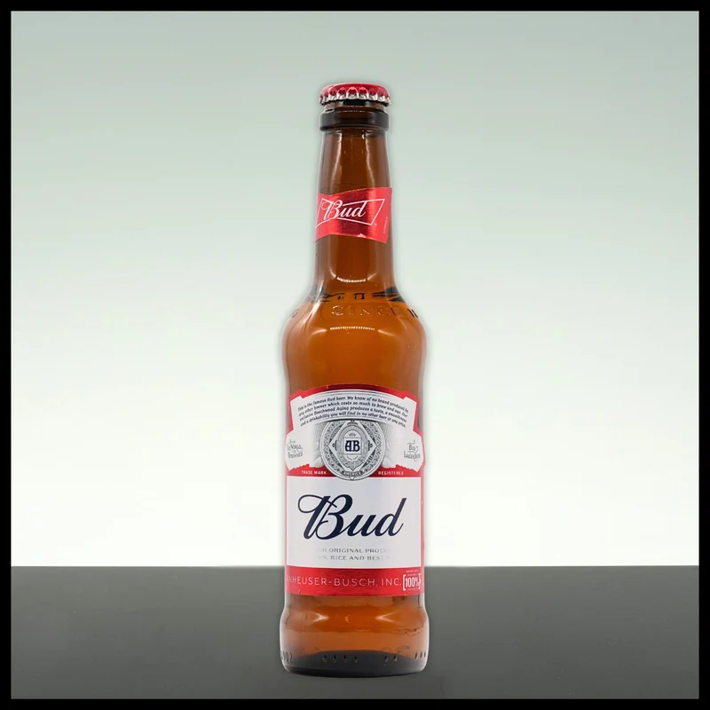 American Bud 0,33L - 5% Vol.